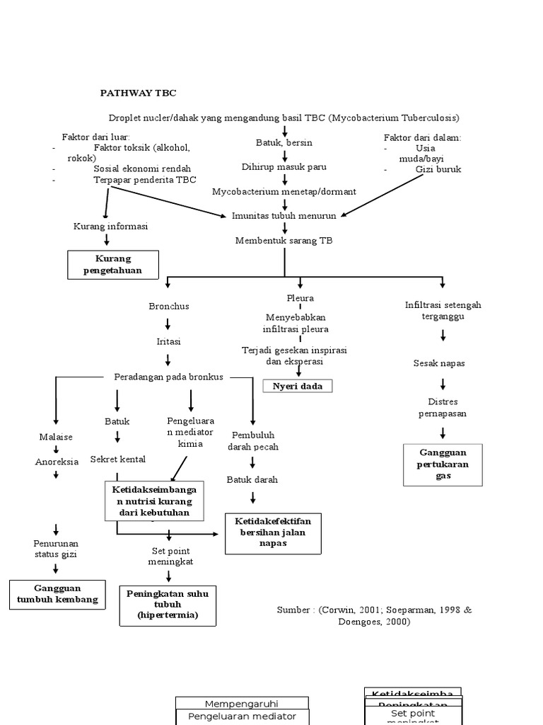 Jalur Penanganan Tuberkulosis Paru | PDF