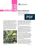 citrus-leafminer.pdf