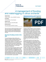 Impacts and Management of Flooding and Waterlogging in Citrus Orchards