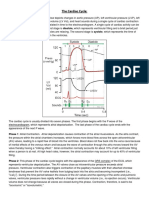 The Cardiac Cycle: Phases and Pressure Changes