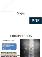 Sistem Urinaria