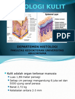 Histologi Kulit