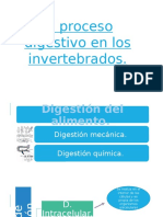 El Proceso Digestivo en Los Invertebrados