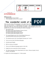 The wonderfull world of languages.pdf