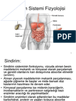 Sindirim Sistemi Fizyolojisi