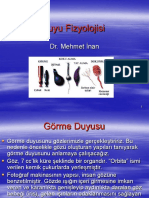 Duyu Fizyolojisi