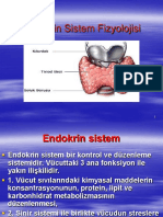 Endokrin Sistem Fizyolojisi