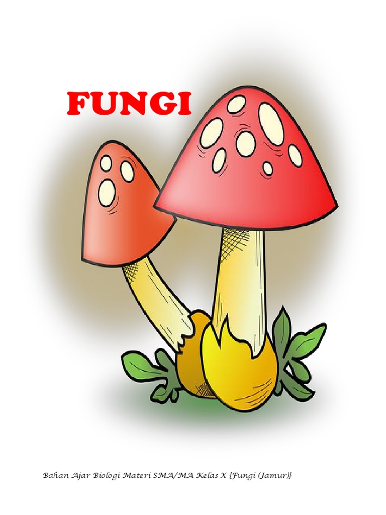 Bahan Ajar Fungi Kelas X