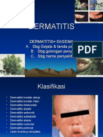 Dermatitis 2012ppt