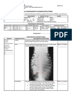 Abdomen DV 36B