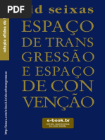 Espaço de Transgressão e Espaço de Convenção - Cid Seixas 