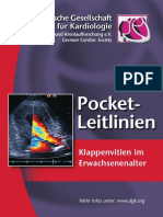 2007 Pocket-Leitlinien Klappenvitien Im Erwachsenenalter