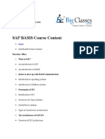 Big Classes Sap Basis Course Contents