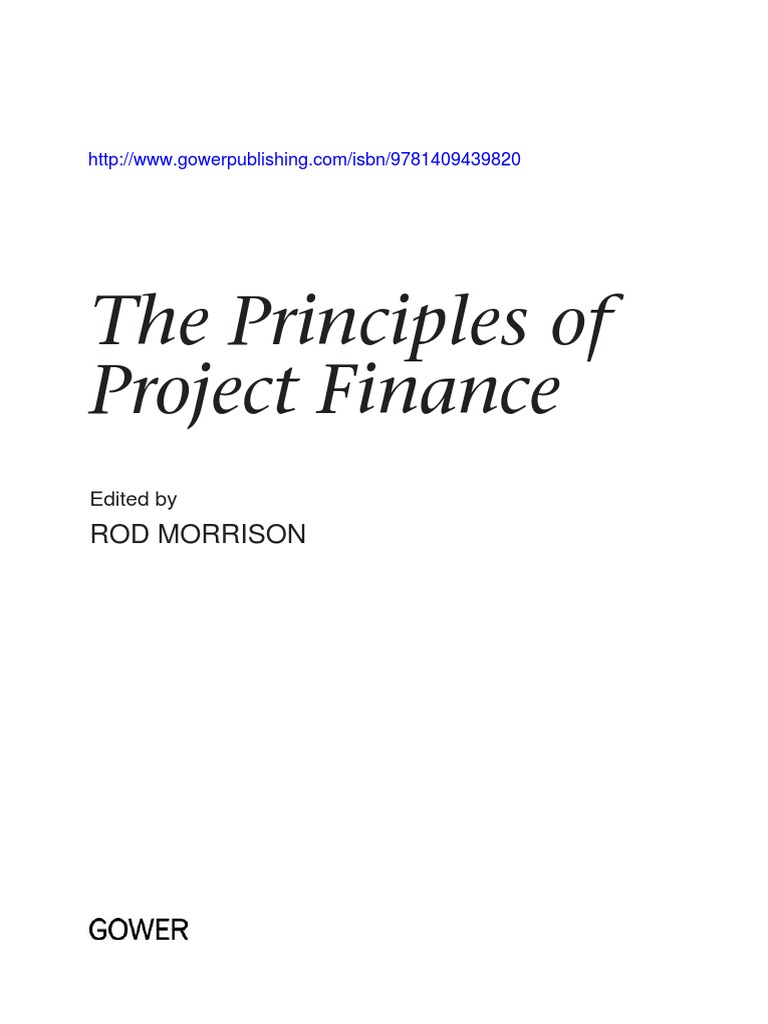 Principles Of Project Finance Pdf Public Private Partnership