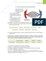 Ficha de Preparação para o Teste 2 PDF