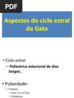 Aspectos Do Ciclo Estral Da Gata