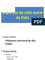 Aspectos Do Ciclo Estral Da Gata