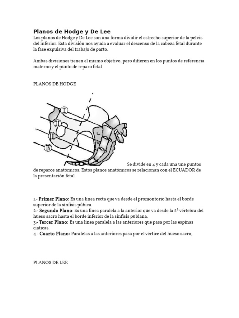 Planos de Hodge y de Lee PDF