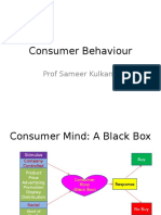 Consumer Behaviour: Prof Sameer Kulkarni