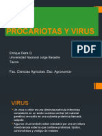 Biología - Virus