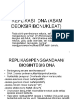 Replikasi Dna Dan Gambar