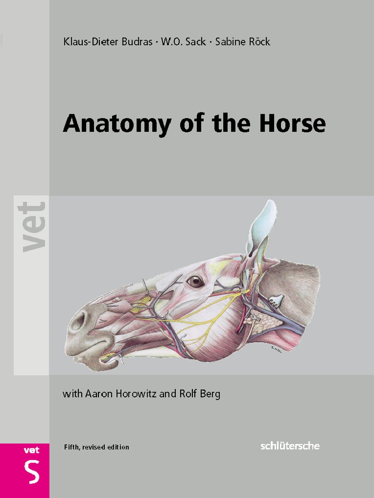 Klaus Dieter Budras Anatomy Of The Horse Pdf