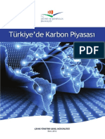 karbon_piyasasi.pdf