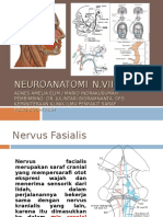 NEUROANATOMIFASIAL