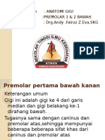 Anatomi Gigi Premolar 1 & 2 Bawah