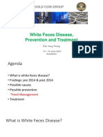 White Feces Disease, Prevention and Treatment