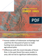 6 Forest Fires Indonesia