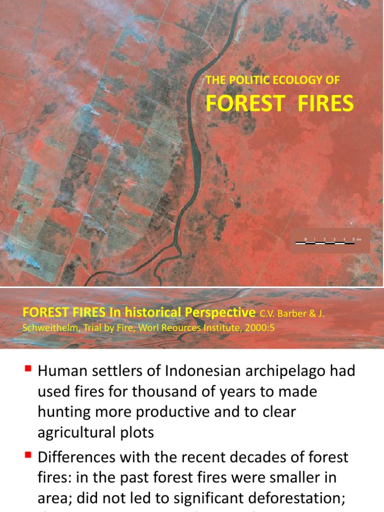6 Forest Fires Indonesia Pdf Indonesia Wildfire