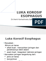 Luka Korosif Esophagus