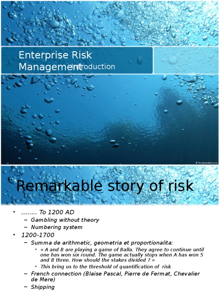 Overview of Enterprise Risk Management | PDF | Enterprise Risk ...