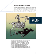 Horse Anatomy in Greek PDF
