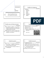 Procesamiento de Semillas de Oleaginosas