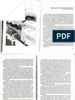 4-IDOSOS.pdf