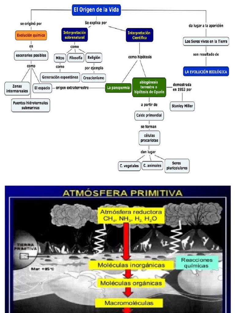 Origen de La Vida Anexos | PDF | Abiogénesis | Tierra