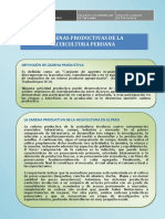 CADENAS PRODUCTIVAS.pdf