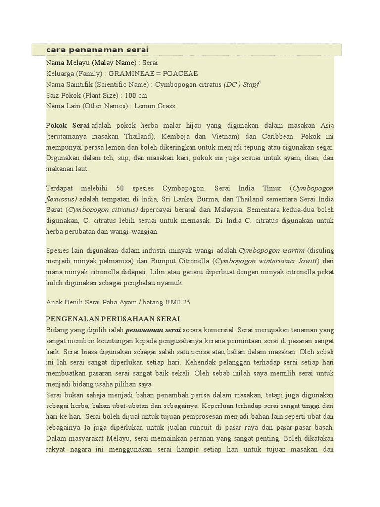 Serai Bukan Untuk Masakan Sahaja Myrokan