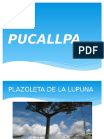 Pucallpa