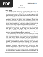 Download Makalah Mikologi by husain talani  SN335192824 doc pdf