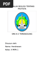 Makalah Biologi Tentang Protista