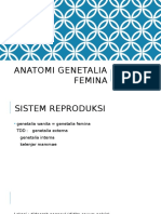 Anatomi Genetalia Femina