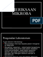 PEMERIKSAAN MIKROBA