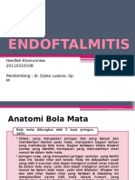 ENDOFTALMITIS