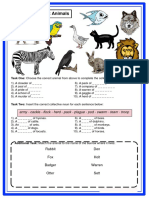 Collective Nouns - Animals PDF