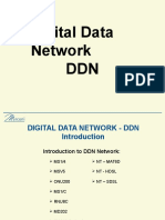 A Quick Guide To DDN