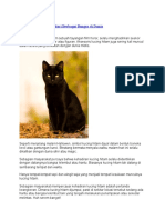 8 Mitos Kucing Hitam Dari Berbagai Bangsa Di Dunia