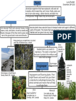 unit 8 plant classification